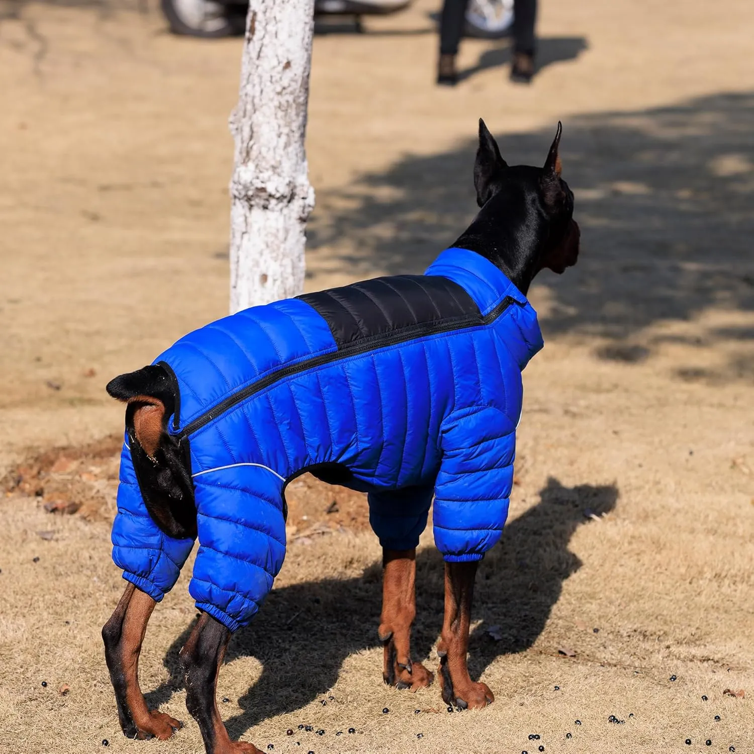 Lovelonglong Dog Coat Dog Warm Jacket, 4 Legs Covered Waterproof Windproof Reflective Warm Dog Vest, Zippered Adjustable Outdoor Dog Snow Jacket for Small Medium Large Dogs Blue XL
