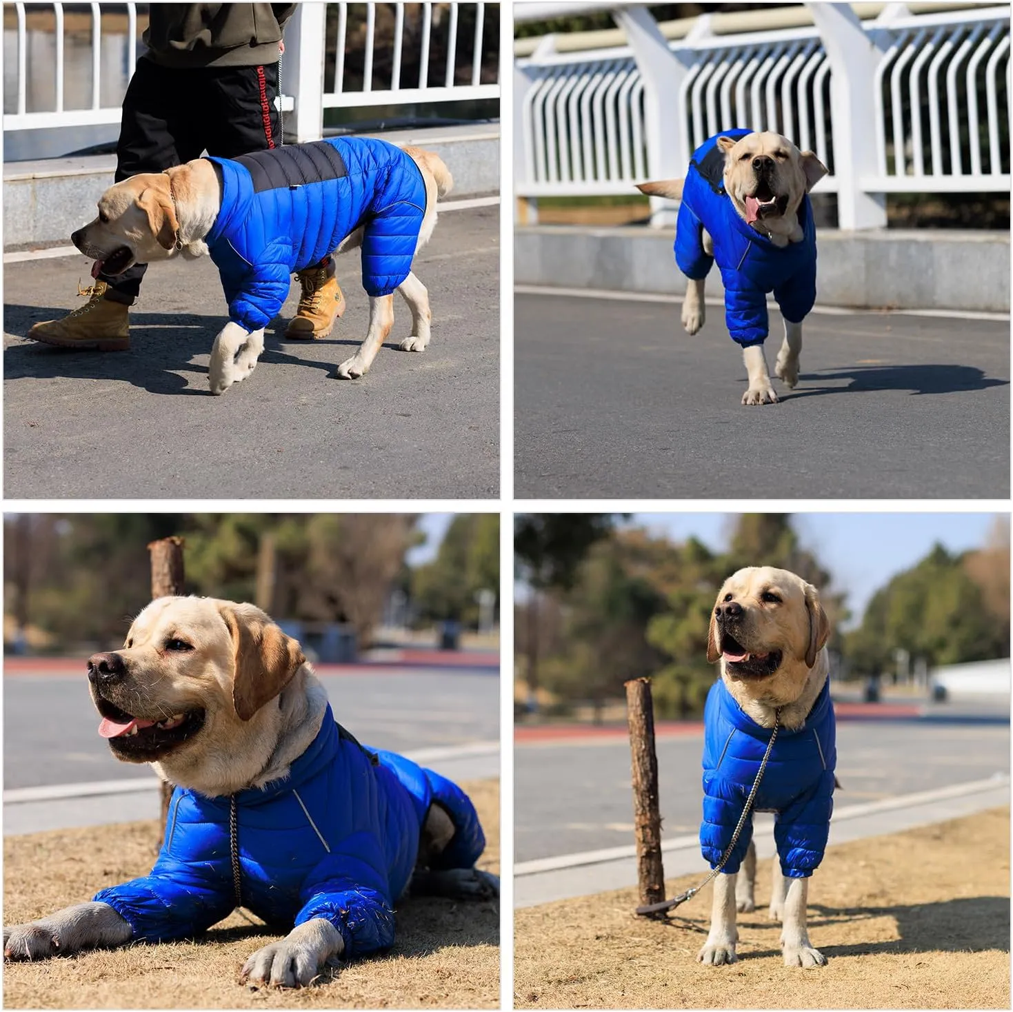 Lovelonglong Dog Coat Dog Warm Jacket, 4 Legs Covered Waterproof Windproof Reflective Warm Dog Vest, Zippered Adjustable Outdoor Dog Snow Jacket for Small Medium Large Dogs Blue XL