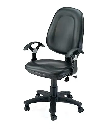 Low Back Executive Office Chair with Nylon Base