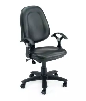 Low Back Executive Office Chair with Nylon Base