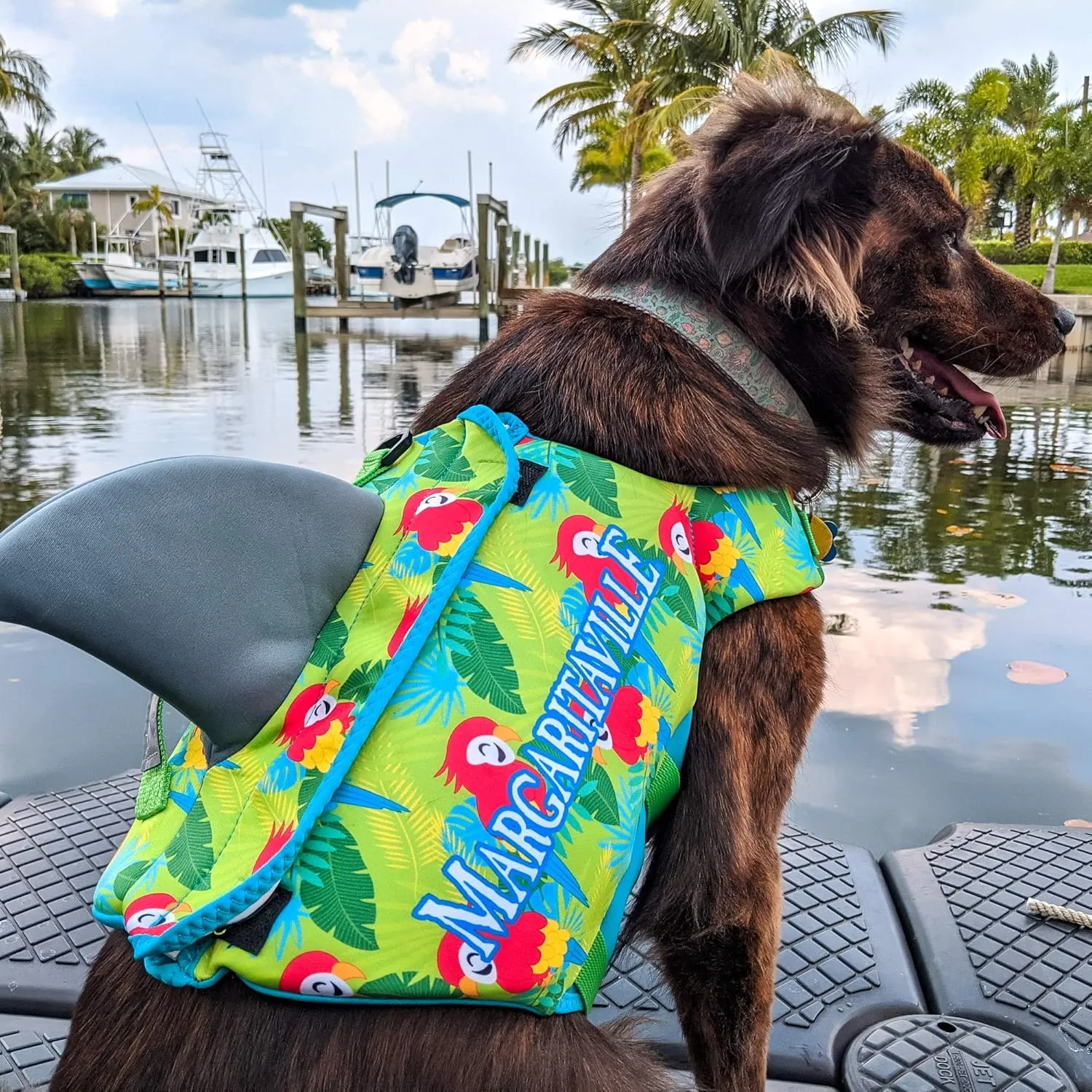 Margaritaville Shark Pet Vest