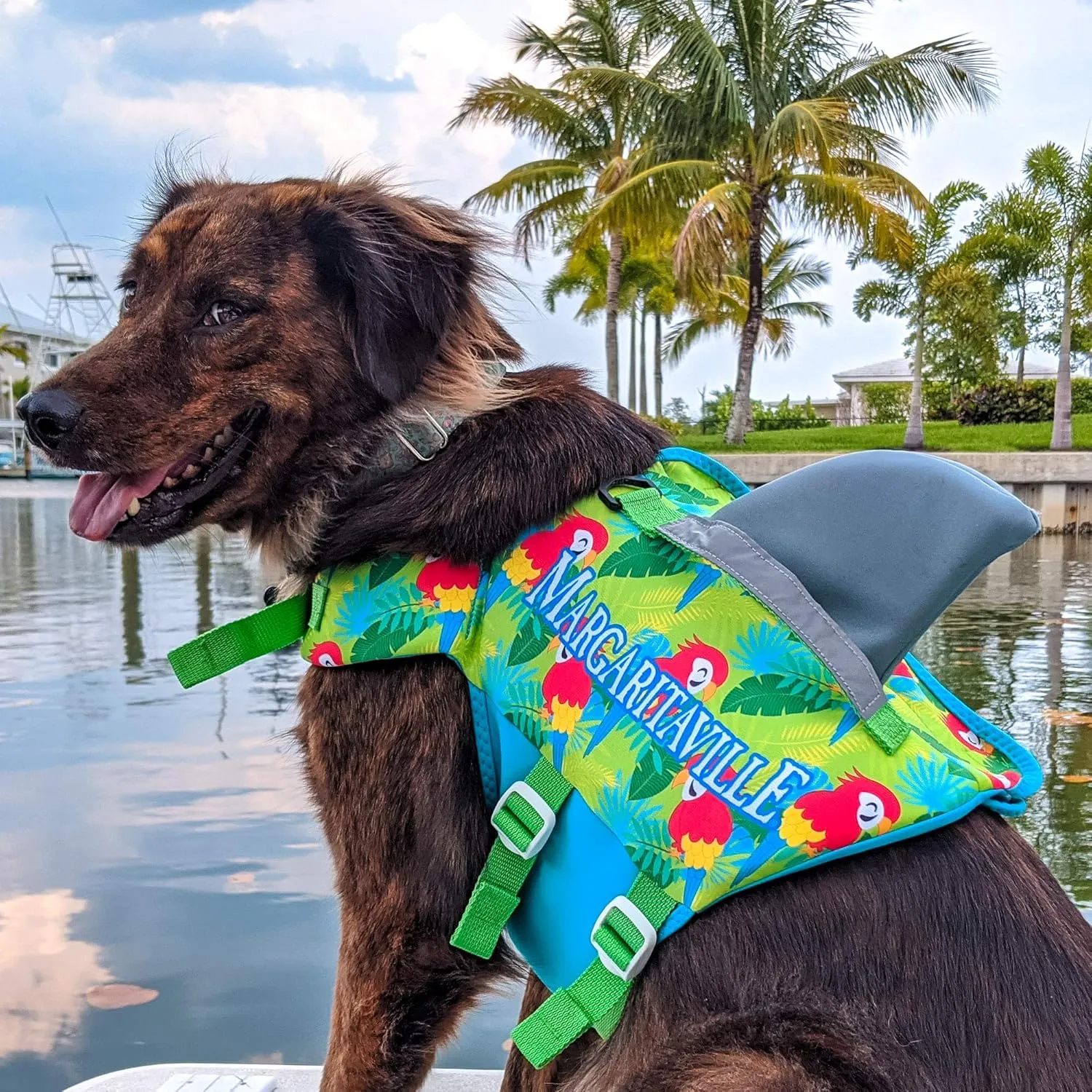 Margaritaville Shark Pet Vest