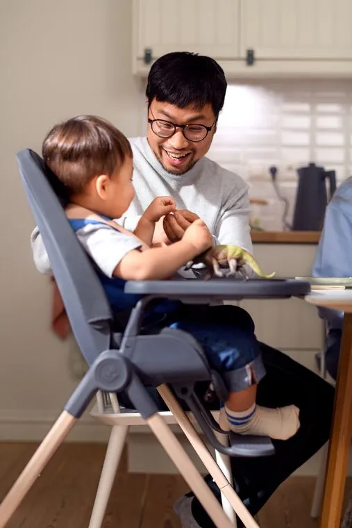 MAXI COSI AVA HIGHCHAIR