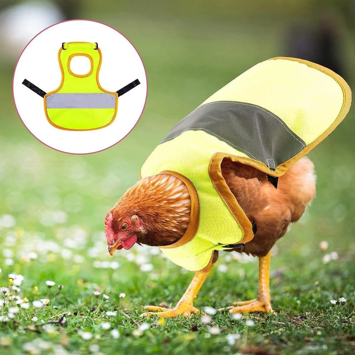 Pet Clothes Chicken Vest Duck Goose Clothing for Small Animals Winter Wear
