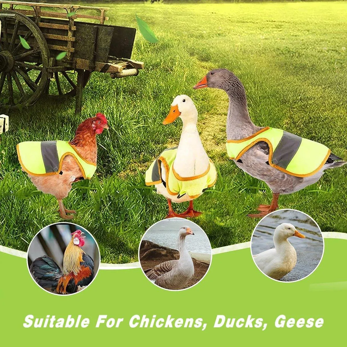 Pet Clothes Chicken Vest Duck Goose Clothing for Small Animals Winter Wear