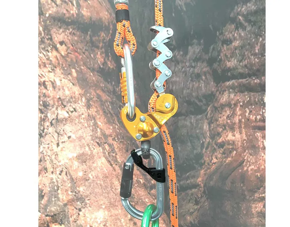 PETZL Captiv 10 Pack