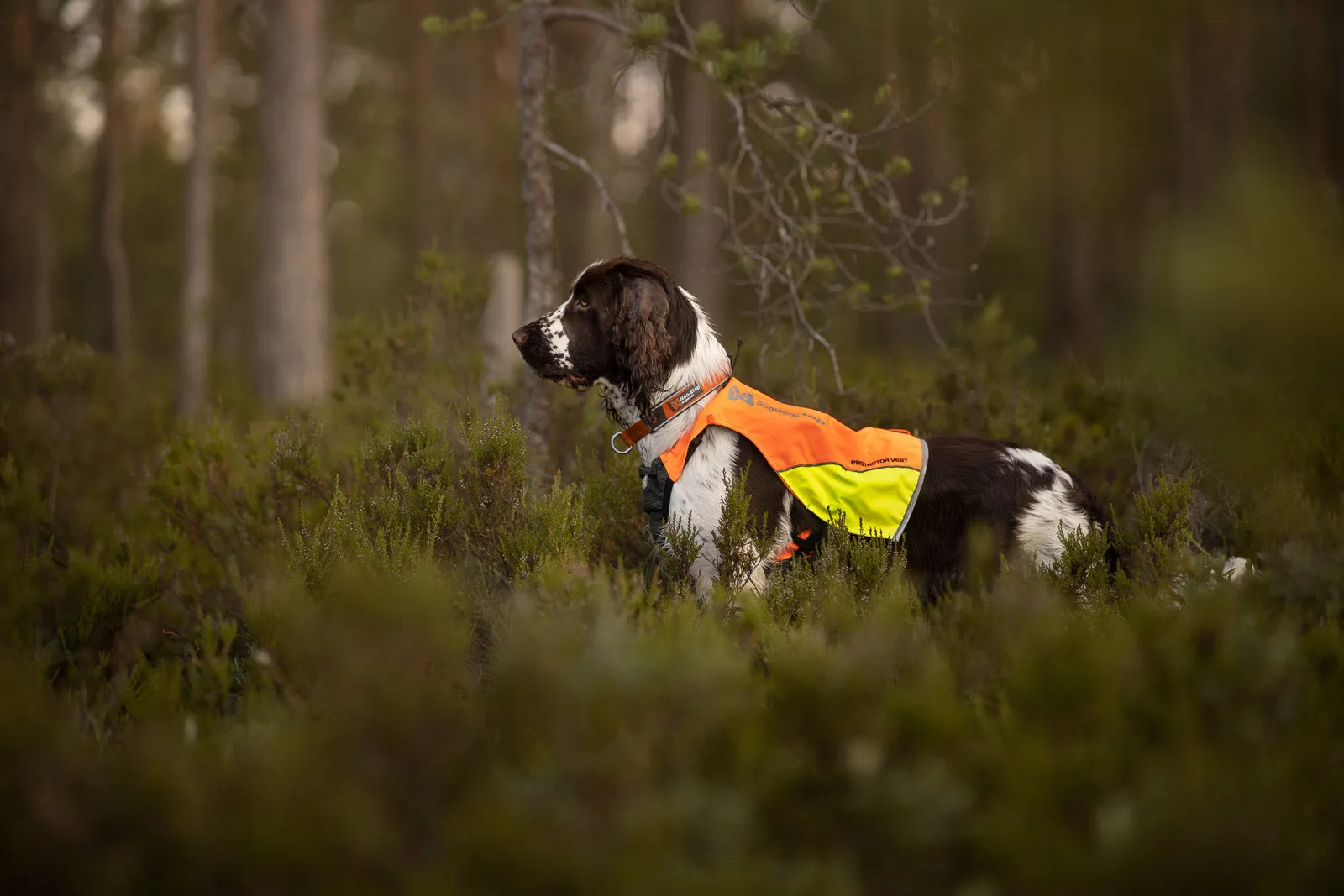 Protector vest