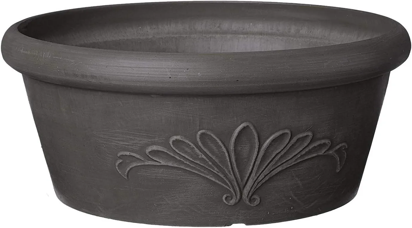 PSW Pot TA30DC Collection Shallow Bulb Pan Planter Dish Low Bowl for Succulents, Bonsai, Fairy Gardens, Herbs, 12-inch, Dark Charcoal