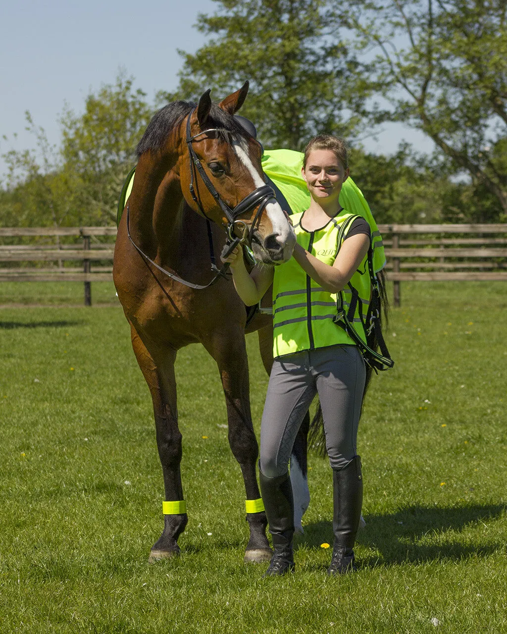 QHP Reflective Rider Vest