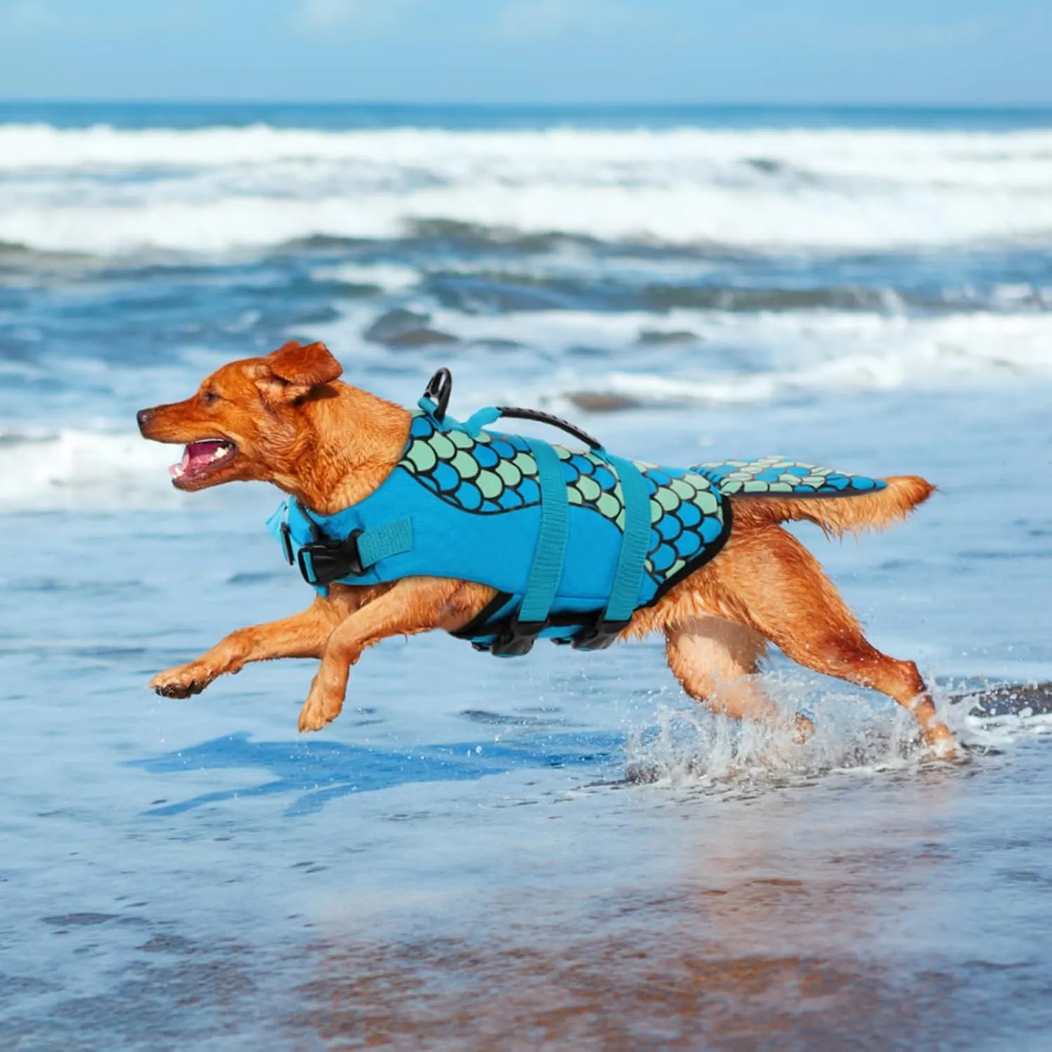 Queenmore Mermaid Dog Life Jacket, Dog Life Vest for Swimming, Dog Floating Vest, Lightweight Dog Swimming Vest, High Buoyant Dog Life Jackets for Small, Medium, Large Dogs (Blue,M)