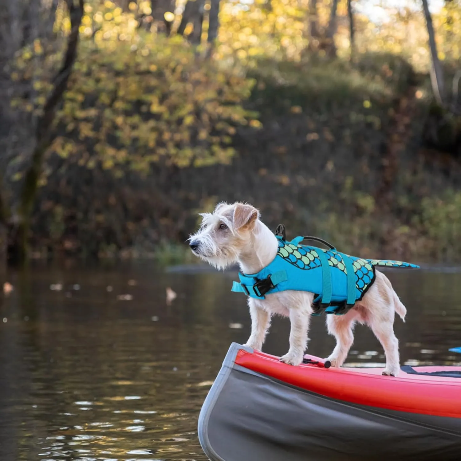 Queenmore Mermaid Dog Life Jacket, Dog Life Vest for Swimming, Dog Floating Vest, Lightweight Dog Swimming Vest, High Buoyant Dog Life Jackets for Small, Medium, Large Dogs (Blue,M)