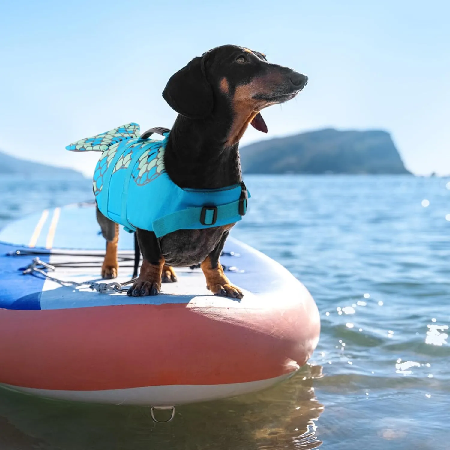 Queenmore Mermaid Dog Life Jacket, Dog Life Vest for Swimming, Dog Floating Vest, Lightweight Dog Swimming Vest, High Buoyant Dog Life Jackets for Small, Medium, Large Dogs (Blue,M)