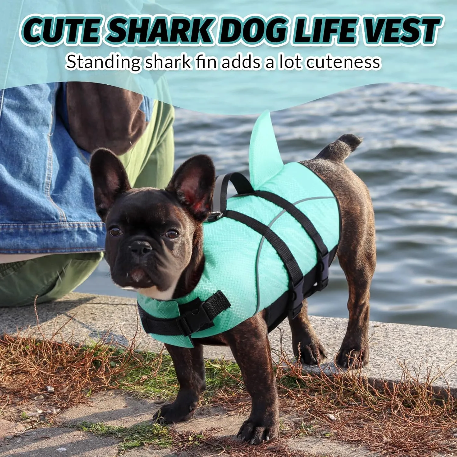 Queenmore Puppy Shark Life Jacket - Dog Life Preserver for Swimming, Boating & Kayaking, High Buoyancy with Strong Rescue Handle & Reflective Light (Light Blue, L)