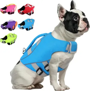 Queenmore XS Dog Life Jacket, Dog Life Vest for Swimming Boating, Puppy Life Jackets for Small Dogs, Ripstop Pet Life Vests with Rescue Handle Leash Hole, Safety Water Floating Vest, Hi-Vis Blue