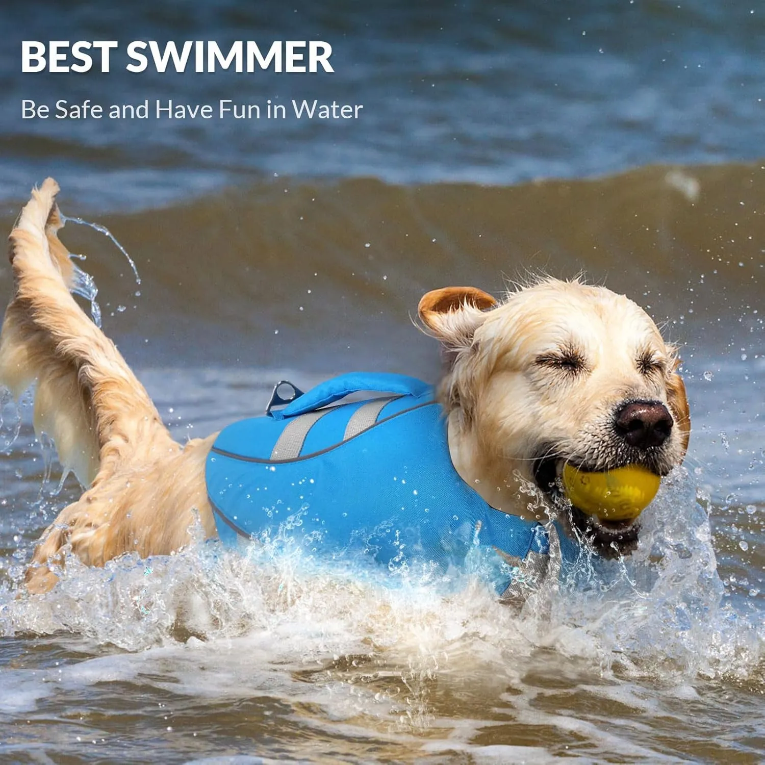 Queenmore XS Dog Life Jacket, Dog Life Vest for Swimming Boating, Puppy Life Jackets for Small Dogs, Ripstop Pet Life Vests with Rescue Handle Leash Hole, Safety Water Floating Vest, Hi-Vis Blue