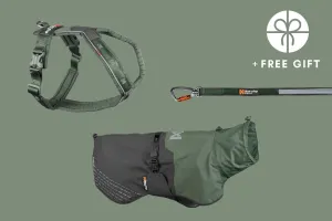 Rainy day kit green