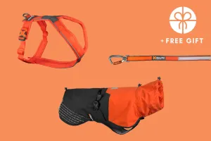 Rainy day kit Orange
