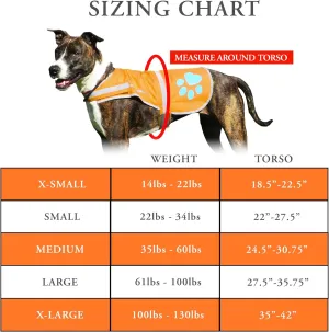 Reflective Dog Vest. Hi-Visibility, Fluorescent Blaze Orange Dog Vest Helps Protect Your Best Friend. Safeguard Your PUP from Motorists & Hunting Accidents, On or Off Leash. (Med)