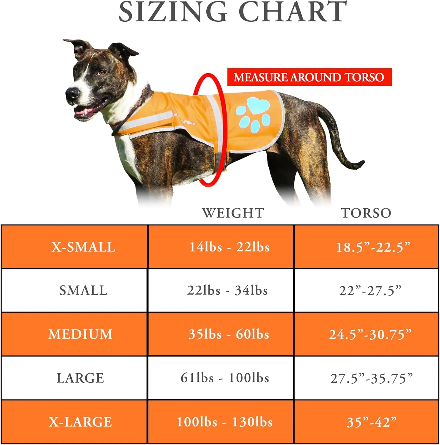 Reflective Dog Vest. Hi-Visibility, Fluorescent Blaze Orange Dog Vest Helps Protect Your Best Friend. Safeguard Your PUP from Motorists & Hunting Accidents, On or Off Leash. (Med)