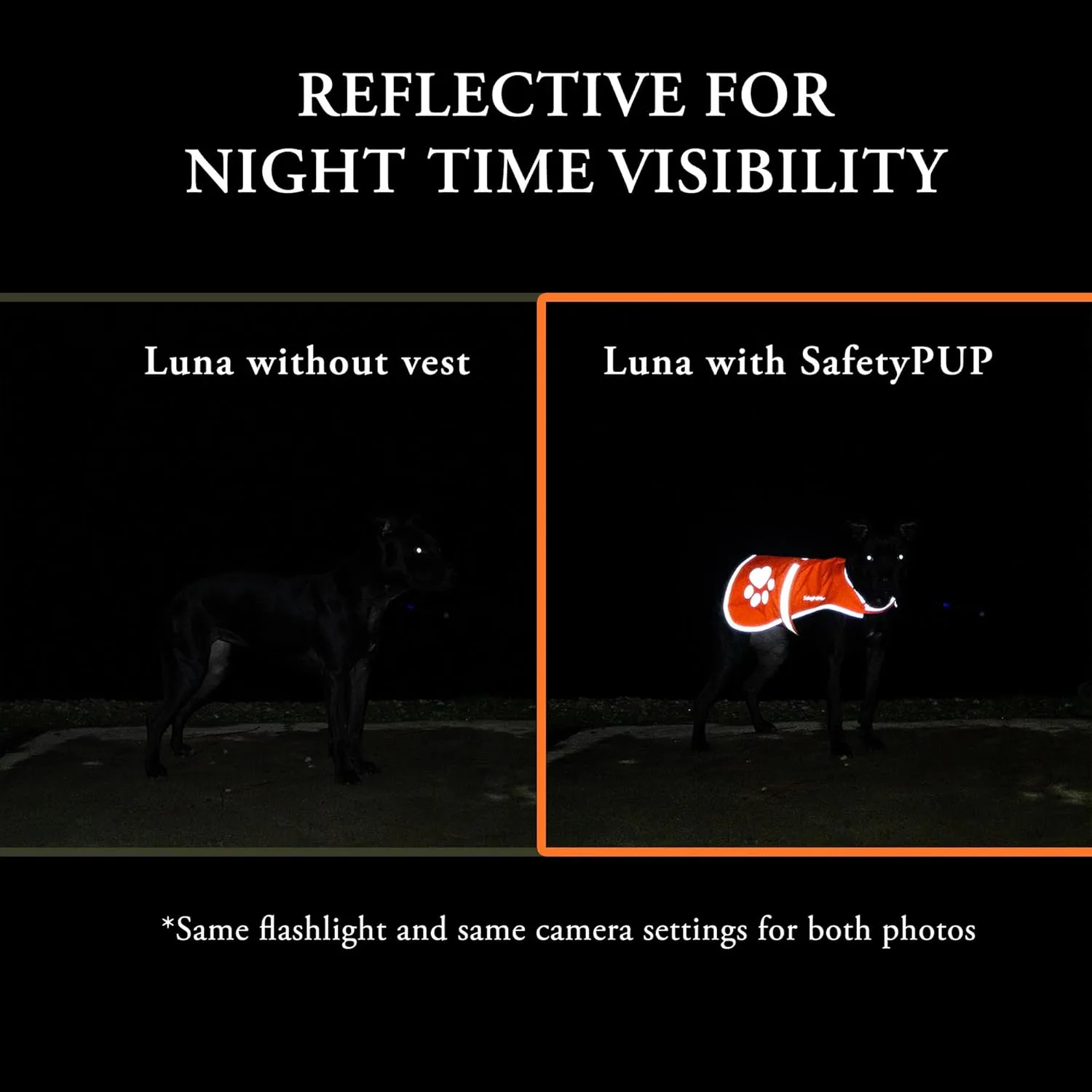 Reflective Dog Vest. Hi-Visibility, Fluorescent Blaze Orange Dog Vest Helps Protect Your Best Friend. Safeguard Your PUP from Motorists & Hunting Accidents, On or Off Leash. (Med)
