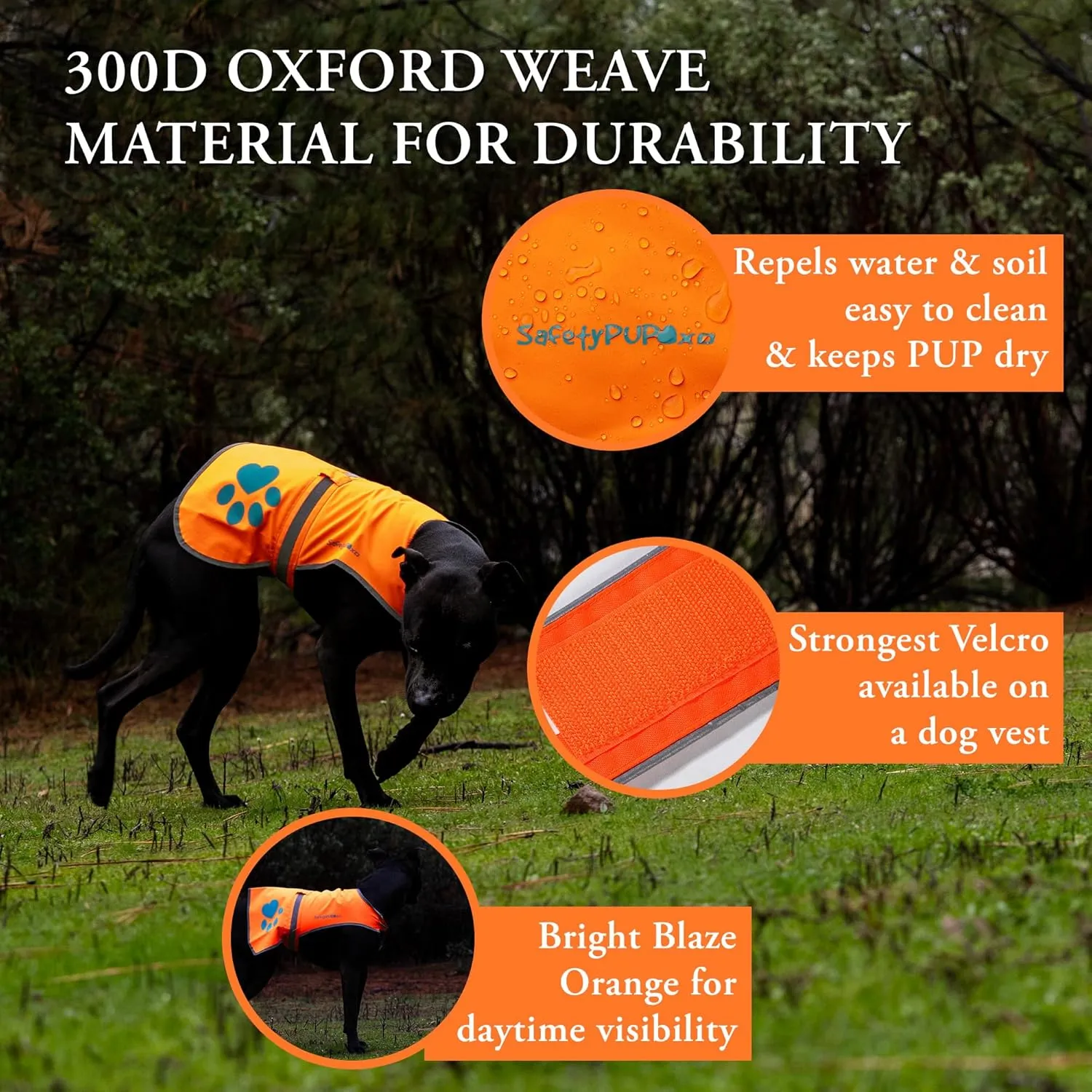 Reflective Dog Vest. Hi-Visibility, Fluorescent Blaze Orange Dog Vest Helps Protect Your Best Friend. Safeguard Your PUP from Motorists & Hunting Accidents, On or Off Leash. (Med)