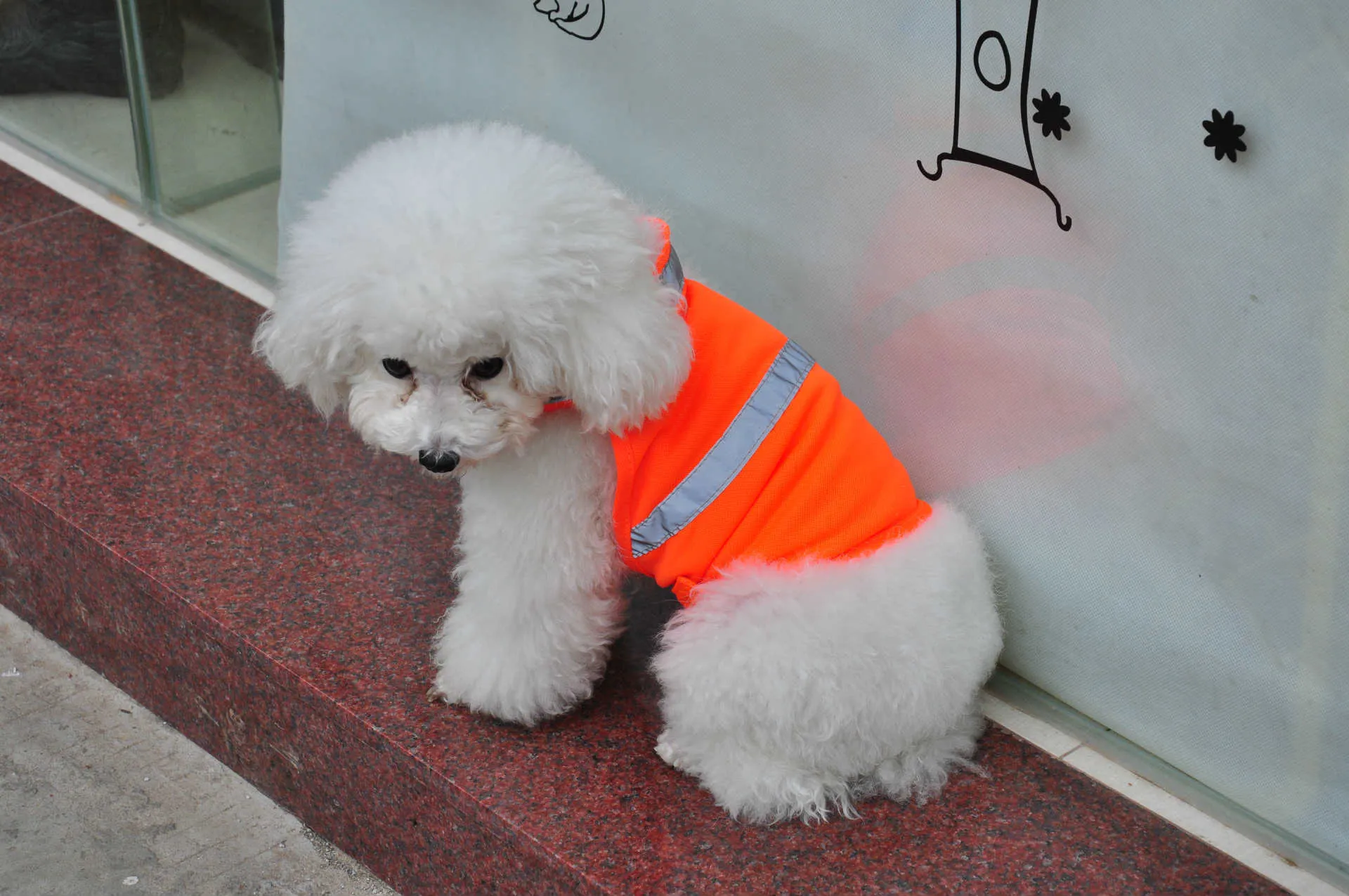Reflective Safety Vest for Dogs