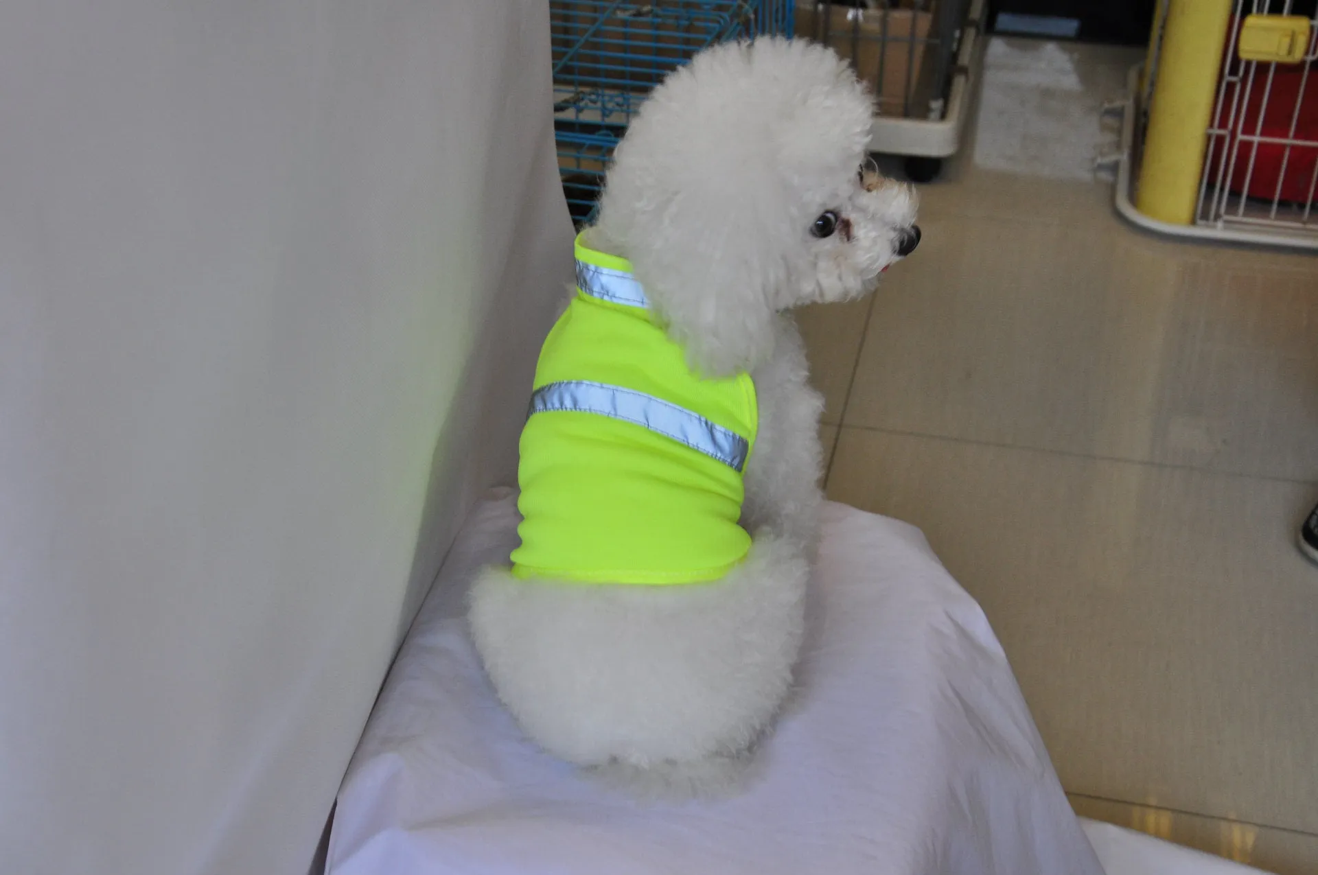 Reflective Safety Vest for Dogs