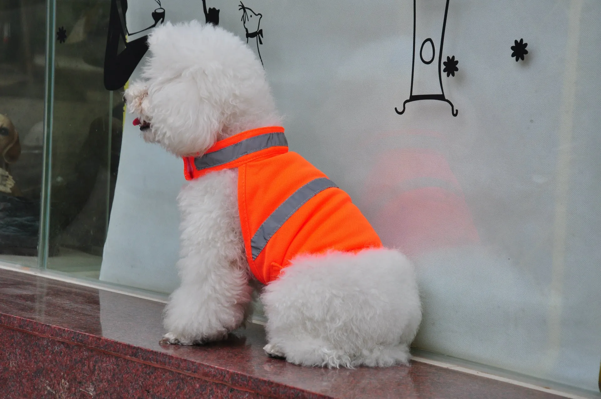 Reflective Safety Vest for Dogs