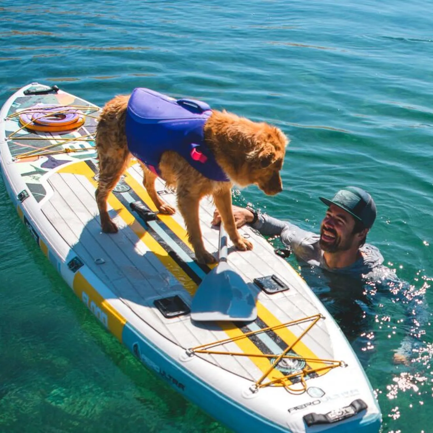 Ruffwear, Float Coat, Dog Life Jacket, Swimming Safety Vest with Handle, Purple Lily, X-Small