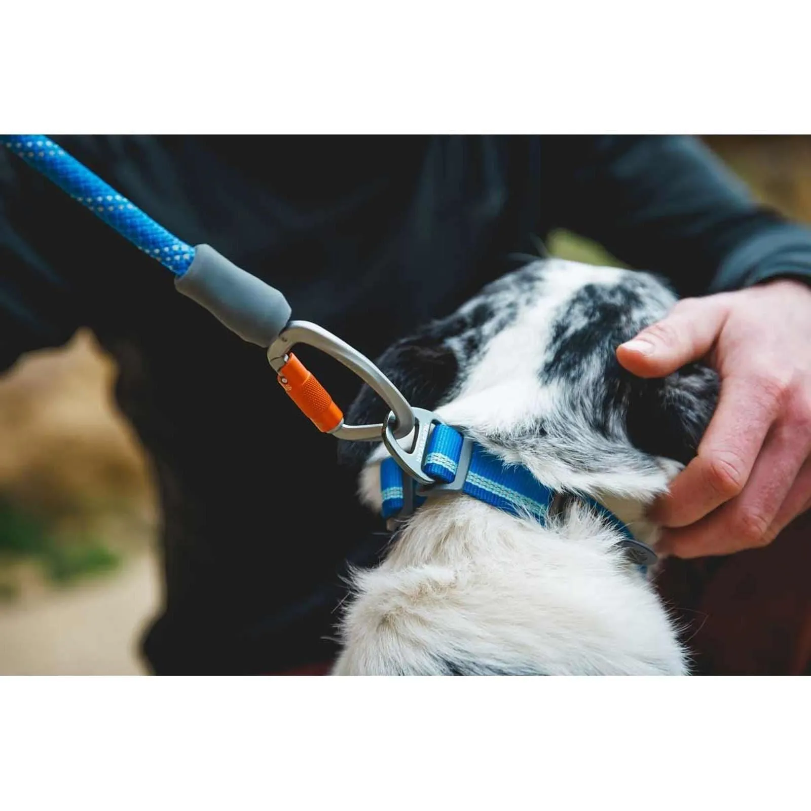 Ruffwear Knot-a-Leash Dog Lead in Blue Pool (Large)