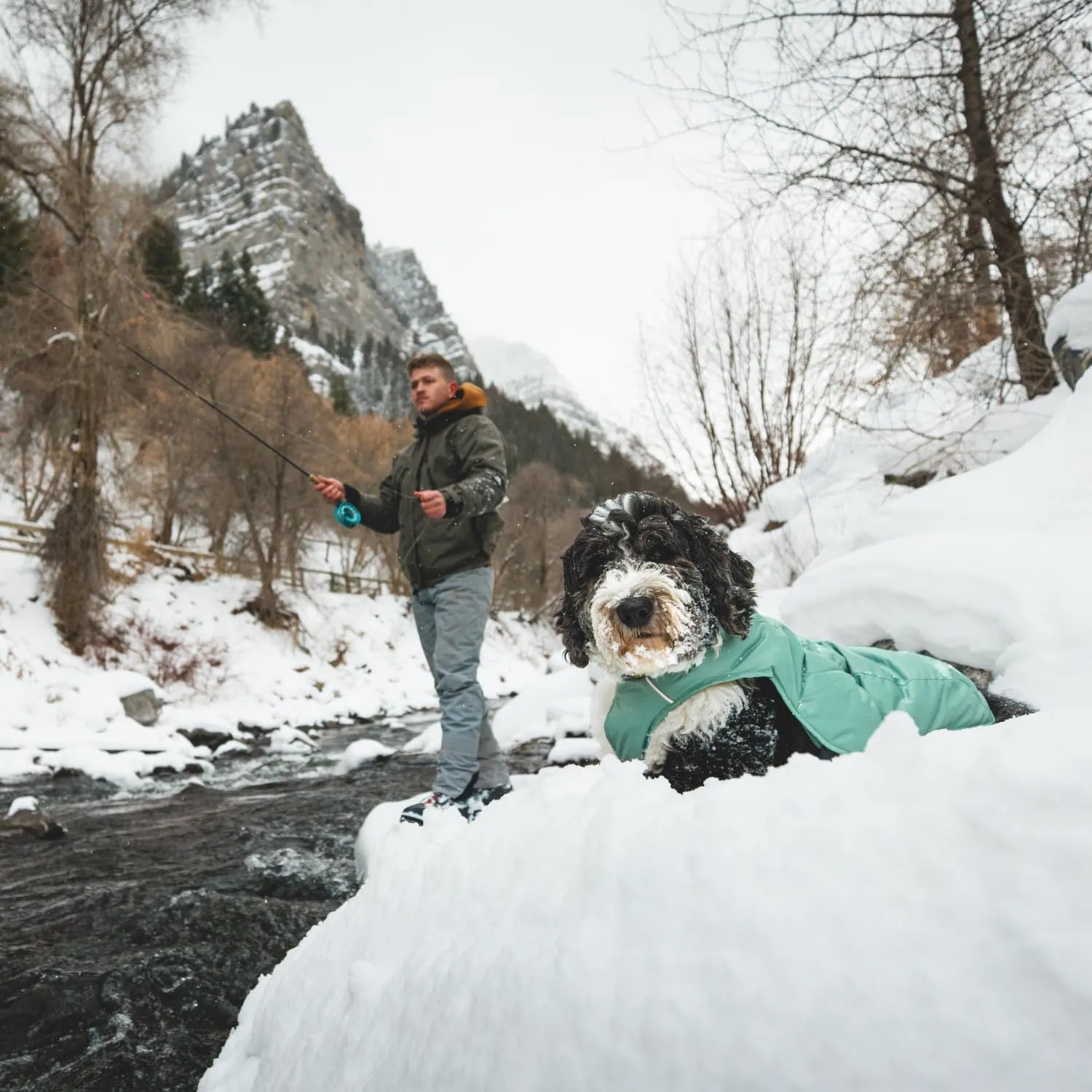 Ruffwear, Quinzee Jacket, Insulated and Water-Resistant Jacket for Dogs with Stuff Sack, River Rock Green, X-Large