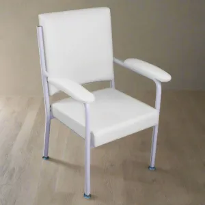 Southern Low Back Chair