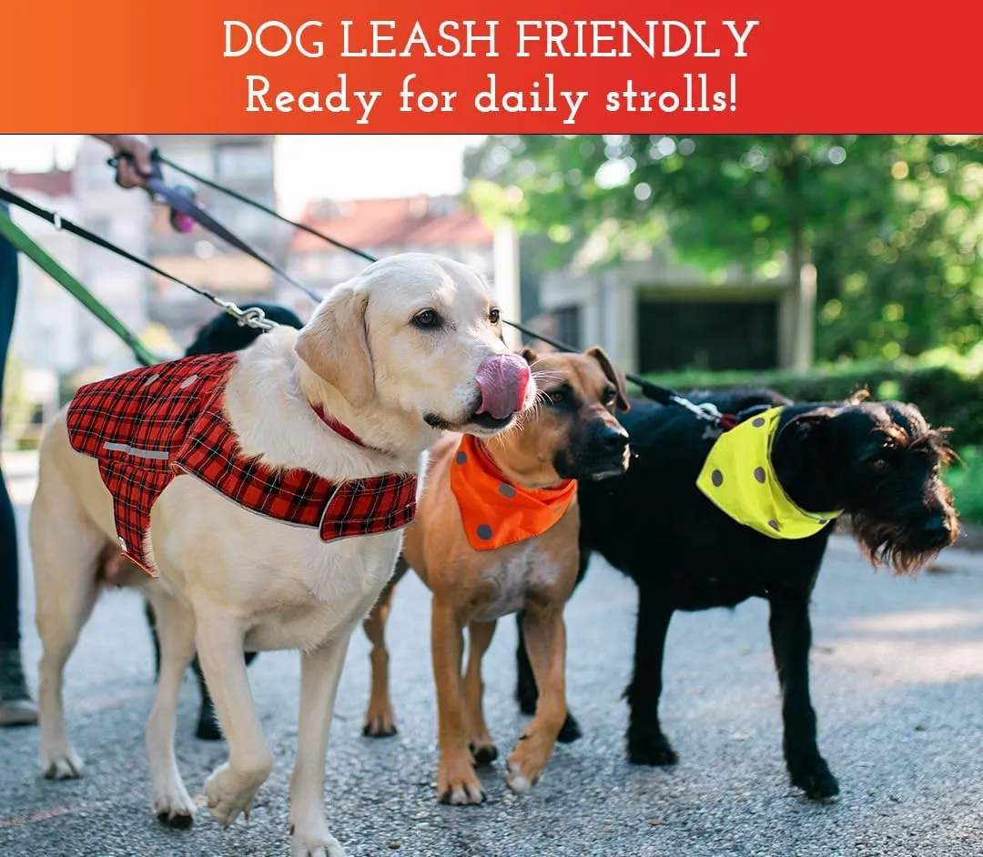 SPOT THE DOG! Easy Fastening Dog Vest, High Visibility Orange, Reflective, Sizes XS-XXL