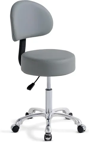 Swivel Rolling Stool Round Chair,Thick Sturdy Padding,Adjustable Stool with Wheels for Doctor,Medical,Massage Salon,Office,Shop(Black) (with Back, Gray)