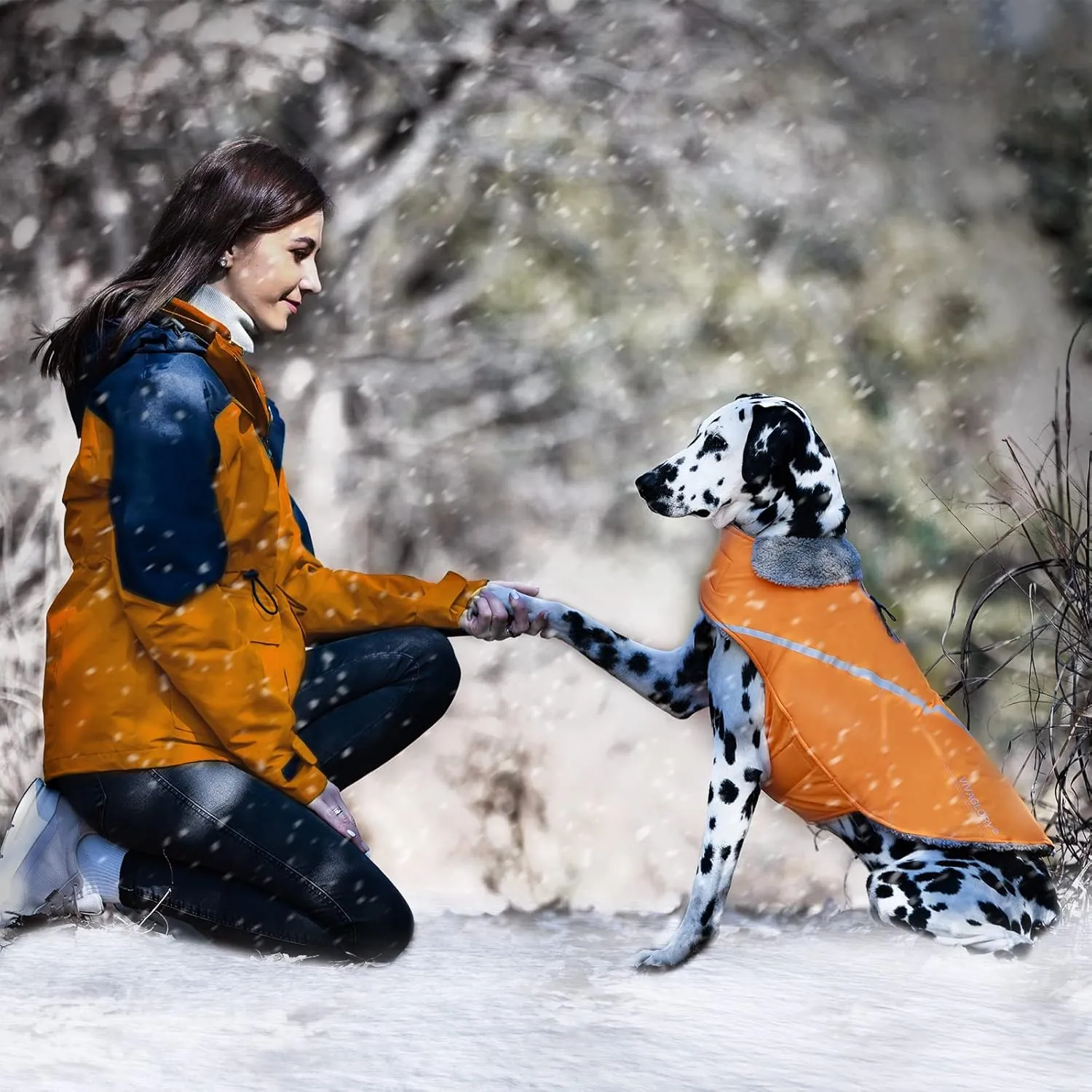 VIVAGLORY Cozy Water-Repellent Windproof Dog Vest - Warm Pet Apparel for Winter, Orange XS