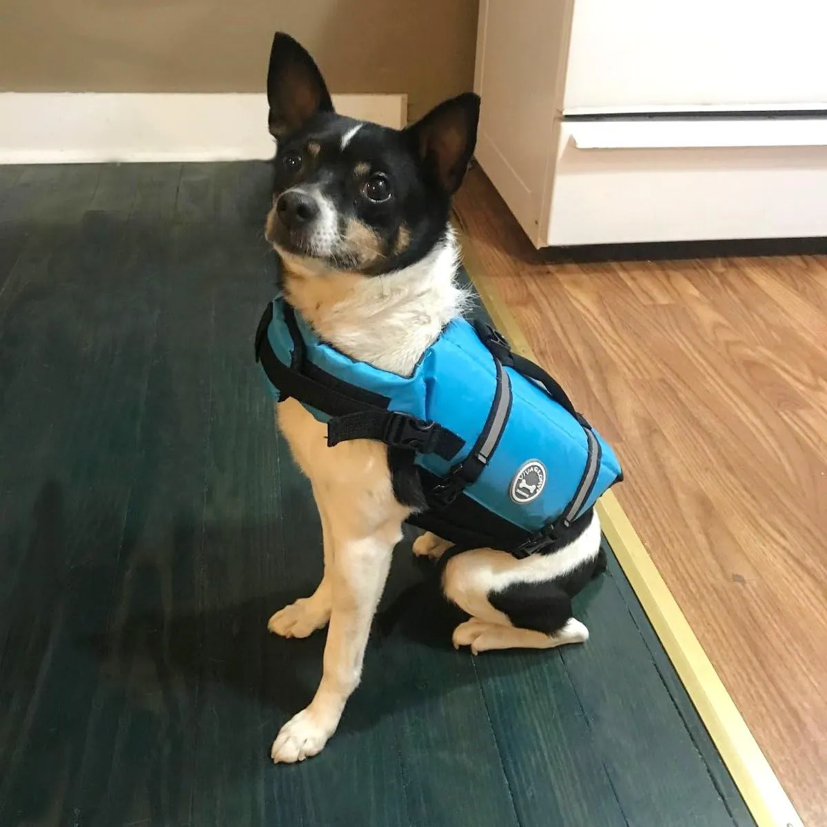 VIVAGLORY Ripstop Dog Life Jacket for Small Medium Large Dogs Boating, Dog Swimming Vest with Enhanced Buoyancy & Visibility, Blue