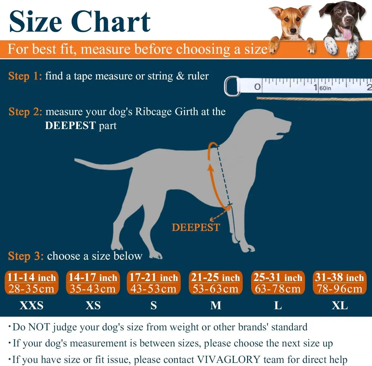 VIVAGLORY Ripstop Dog Life Jacket for Small Medium Large Dogs Boating, Dog Swimming Vest with Enhanced Buoyancy & Visibility, Blue